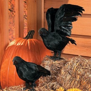 realistic feathered crows scary halloween decorations
