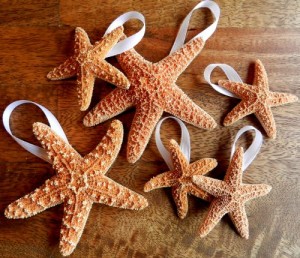 robboned brown sugar starfish seashell christmas ornaments