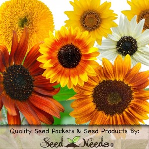crzay mix sunflower seed packets from seeds needs