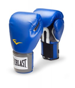 everlast 8oz pro style best boxing gloves