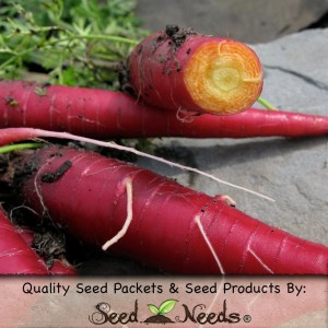 cosmic purple carrot seeds from seeds needs