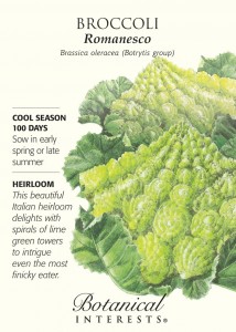 romanesco broccoli seeds from botanical interest