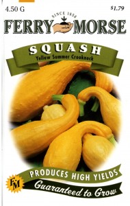 summer crookneck squash seeds from ferry morse