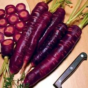 dragon purple carrot seeds from hirts
