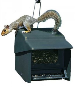 homestead squirrel proof bird feeder