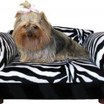 Fantasy Furniture Mini Sofa Pet Bed