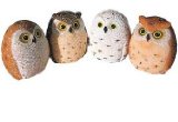 Miniature Owl Figurines Collection
