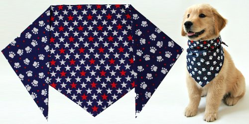 Patriotic Dog Collars To Include Your Pet In The Festivities
