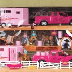 Rodeo Toys For Kids Reviews