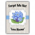 Forget Me Not Seed Packets Reviews