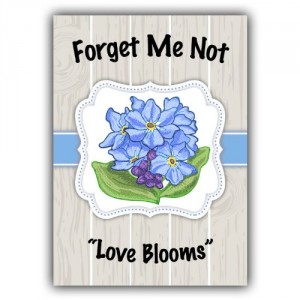 forget me not seed packets from seed needs