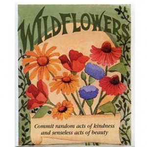 wildflower seed packets from davids garden