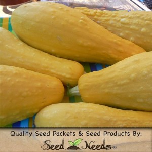 summer squash seeds from seeds needs