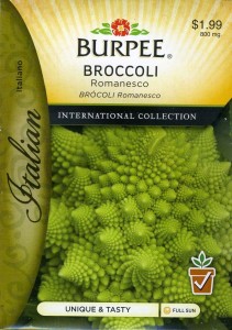 romanesco broccoli seeds from burpee