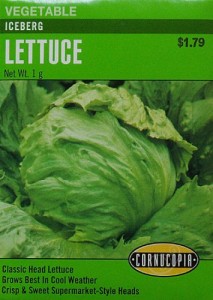 cornucopia iceberg lettuce seeds