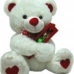 Valentines Day Teddy Bears Reviews