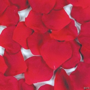 knextion valentines day rose petals