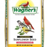 Wild Bird Seed Reviews