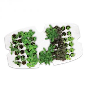Aerogarden Ultra LED Review - seed starter tray